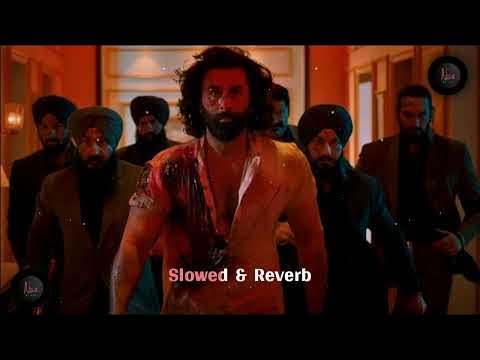 Haiwaan Slowed Reverb
