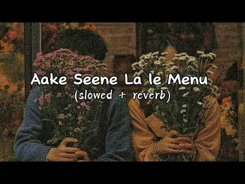 Aake Seene Lale Menu Slowed Reverb
