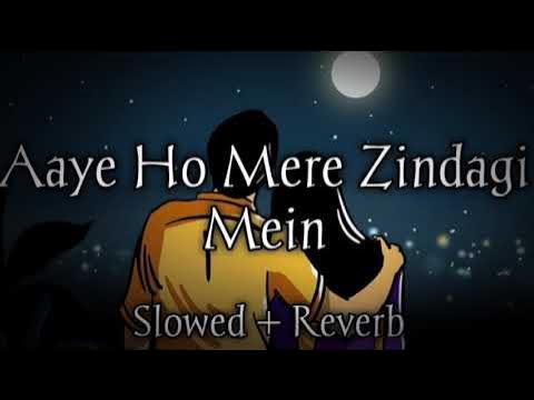 Aaye Ho Meri Zindagi Slowed Reverb