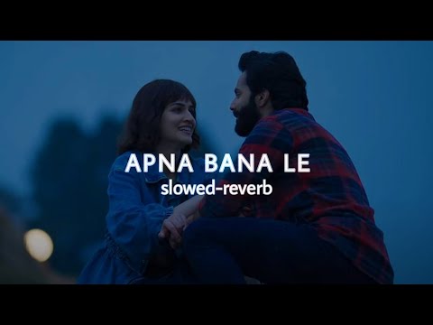 Bhediya Film All Slowed Reverb