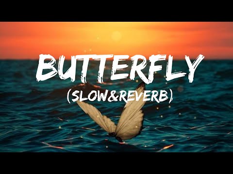 Banke Tussi Butterfly Slowed Reverb