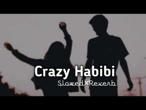 Crazy Habibi Vs Decent Munda Slowed Reverb