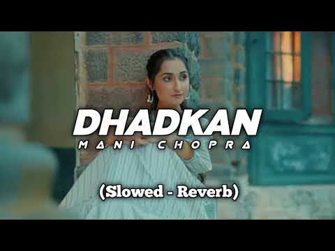 Dhadkan Mani Chopra Slowed Reverb
