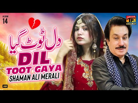 Dil Toot Gaya