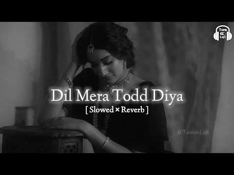 Dil Mera Tod Diya Usne Slowed Reverb
