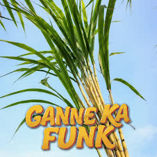 Ganne Ka Funk Slowed Reverb