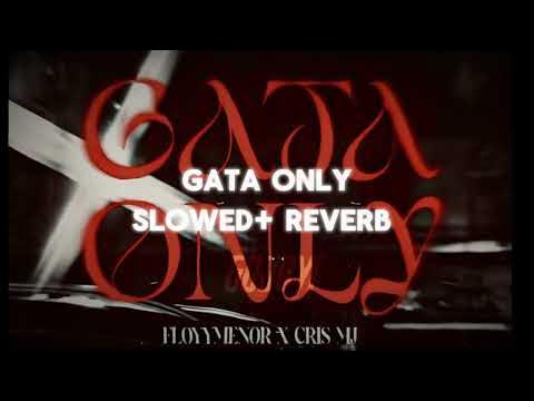 You Mp Slowed Reverb