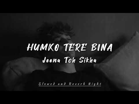 Chale Jaana Phir (Humko Tere Bina Jeena Toh Sikha) Slowed Reverb