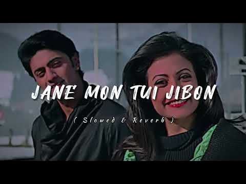 Jane Mon Tui Jibon Slowed Reverb