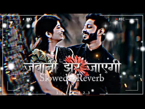 Jawani (Jawani Phir Peak Te) Slowed Reverb