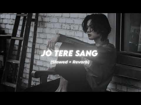Jo Tere Sang (Jo Tere Sang Kati Raate) Slowed Reverb