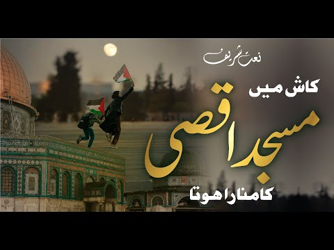 Kash Main Yaro Palestine Ka Basi Hota Slowed Reverb