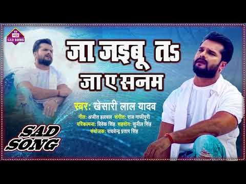 Ja Jaibu Ta Ja Ae Sanam Slowed Reverb