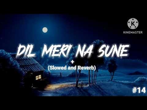 Dil Meri Na Sune Slowed Reverb
