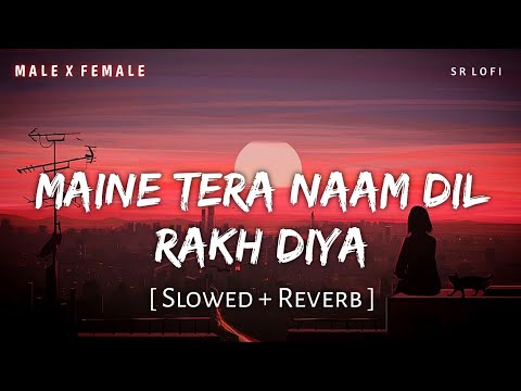 Maine Tera Naam Dil (Dil) Slowed Reverb