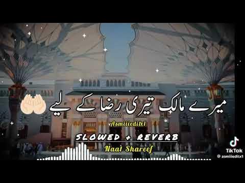 Jaan Hazir Hai Mustafa Ke Liye Naat Slowed Reverb
