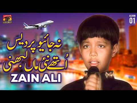 Na Jayo Pardes Uthe Nai Maa Labhni