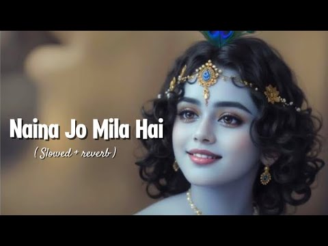 Naina Jo Mile Hai Sarkar Se Slowed Reverb