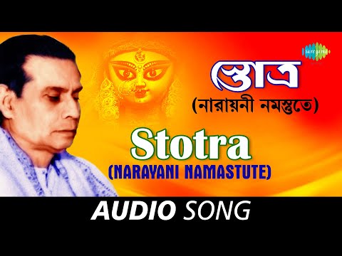 Narayani Namastute