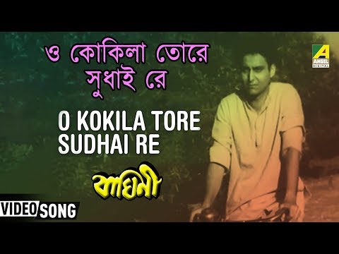 O Kokila Tore Sudhai Re