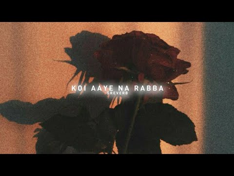 O Tu Ek Bhi Suni Na Tenu Taras Na Aaya Slowed Reverb