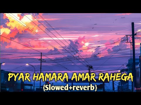 Tera Badan Hai Sangemarmar Slowed Reverb