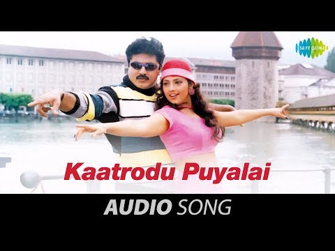 Kaatrodu Puyalai