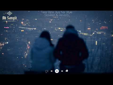 Tere Bina Jiya Na Jaye Slowed Reverb