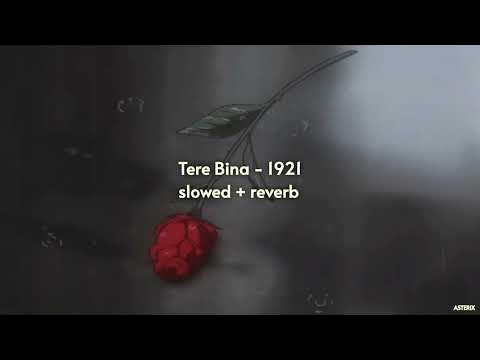 Tere Bina (Tere Bina Marz Aadha Adhura) Slowed Reverb