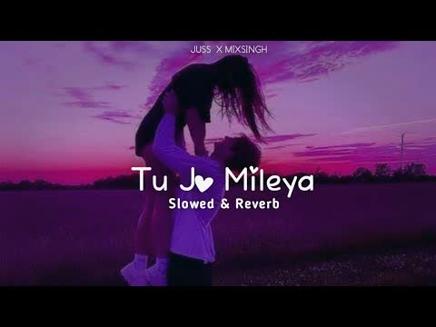 Tu Jo Mileya Slowed Reverb