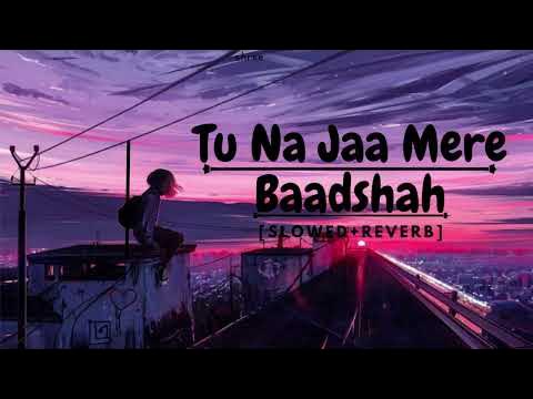 Tu Na Ja Mere Badshah Slowed Reverb