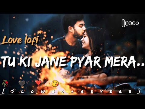 Tu Ki Jane Pyar Mera Slowed Reverb
