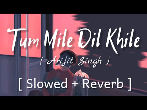 Tum Mile Dil Khile Slowed Reverb
