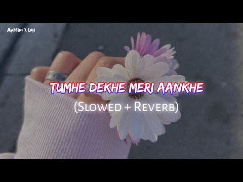 Tumhe Dekhe Meri Aankhe Slowed Reverb