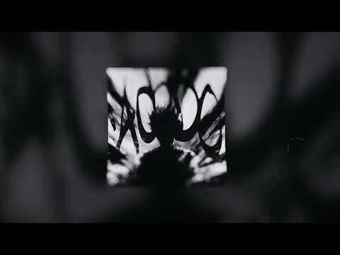 Puch Slowed Reverb