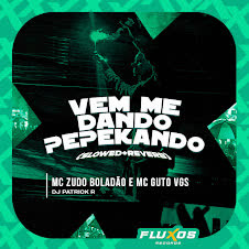 Mc Zudo Boladão Mc Guto Vgs Amp Patrick R Vem Me Dando Slowed Reverb
