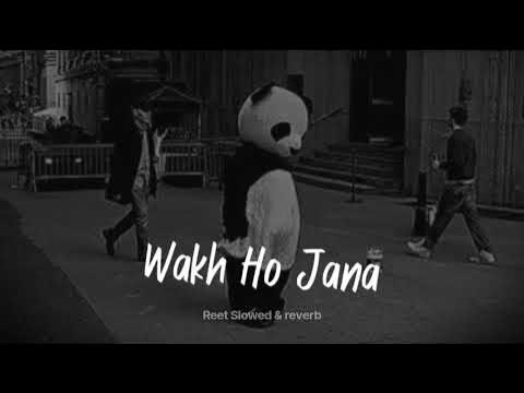 Vakh Ho Jana Ve Slowed Reverb