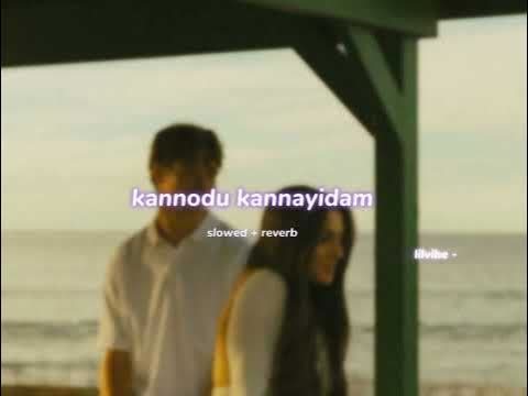 Kannodu Kannayidam Slowed Reverb