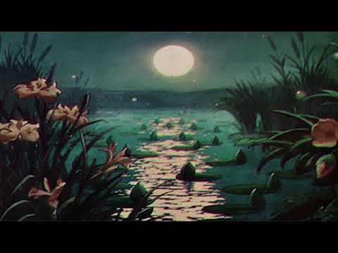 Fireflies Slowed Reverb