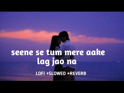 Seene Se Tum Mere Aake Lag Jao Na Slowed Reverb