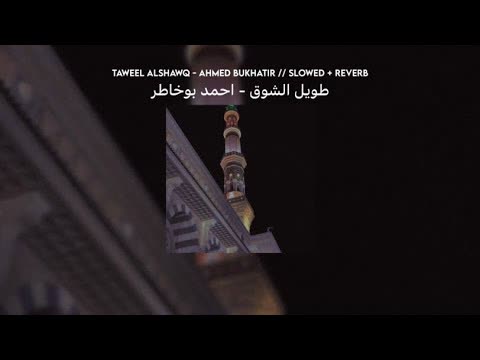 Taweel Al Shawq Slowed Reverb