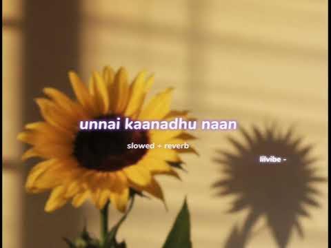 Unnai Kaanadhu Naan Slowed Reverb