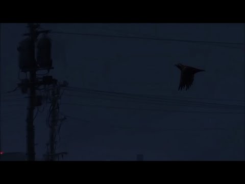 Lee Kamin Slowed Reverb
