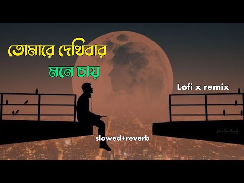 Tomare Dekhibar Mone Chay Slowed Reverb