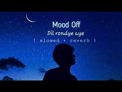 Dil Ronda Hai Slowed Reverb