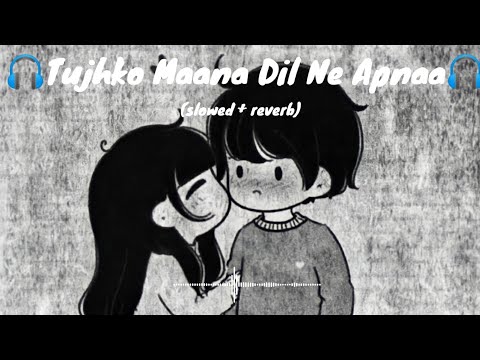 Tujhko Maana Dil Ne Apnaa Slowed Reverb