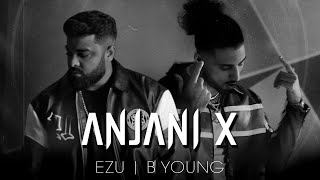 Anjani X