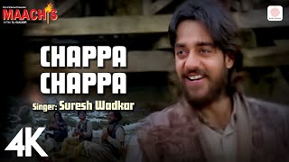 Chappa Chappa