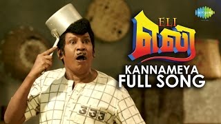 Eli Kannameya