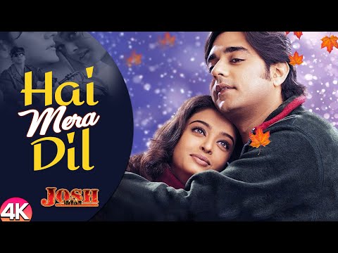 Hai Mera Dil